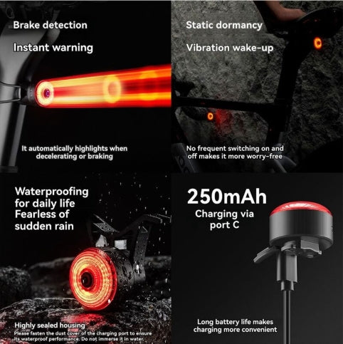 Fahrrad Rücklicht mit Bremssensor, IPX6, USB, ROCKBROS